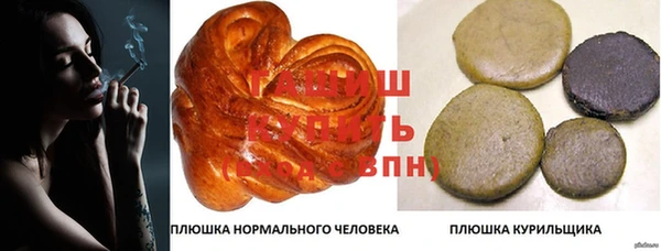 гидра Новодвинск
