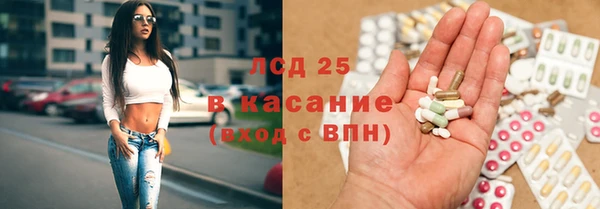 СК Новозыбков