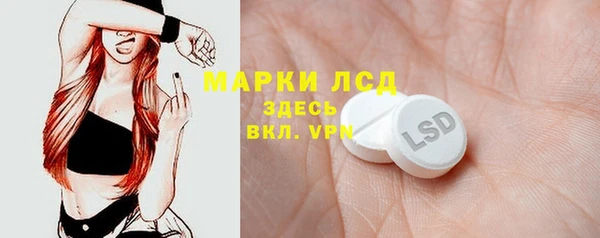 СК Новозыбков