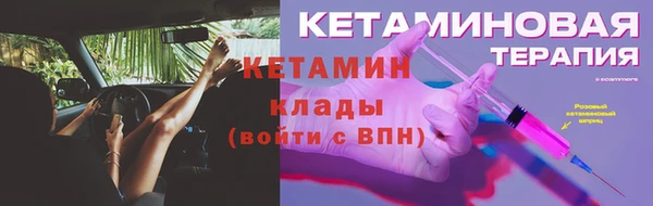 СК Новозыбков