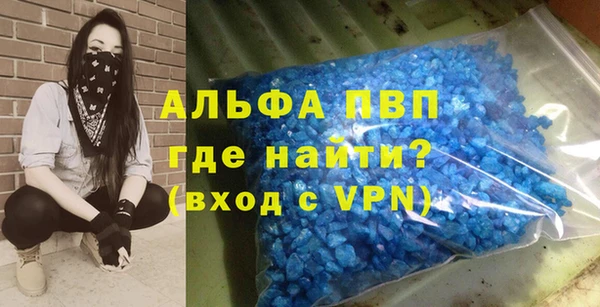СК Новозыбков