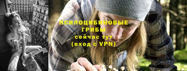 СК Новозыбков