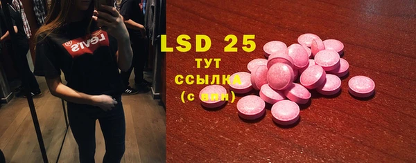 гидра Новодвинск