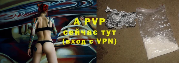 гидра Новодвинск