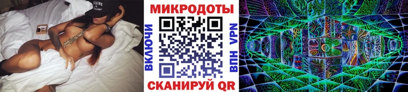 Псилоцибиновые грибы Cubensis  Черногорск 