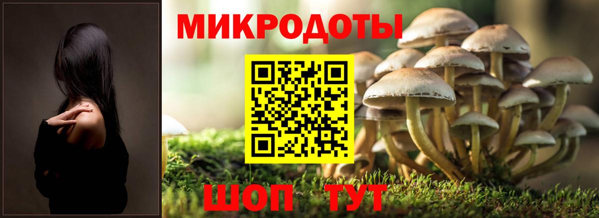 Псилоцибиновые грибы Magic Shrooms  Черногорск 